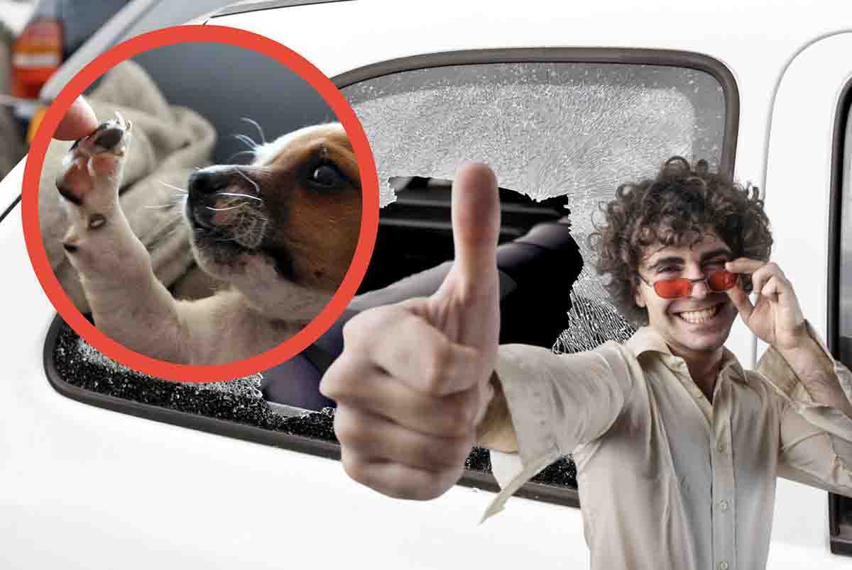 Cane chiuso in auto: si può rompere il finestrino?