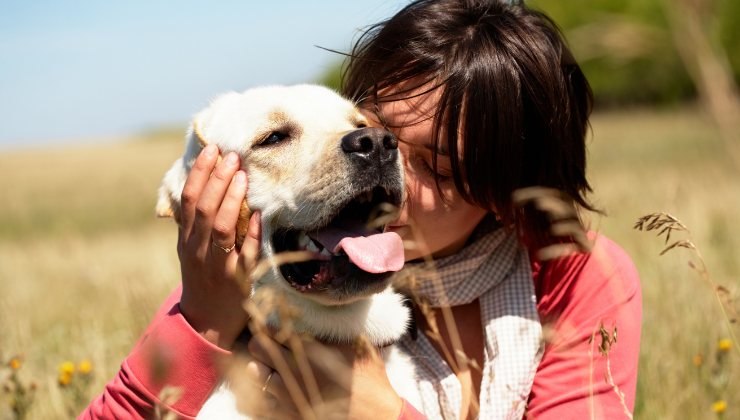 Cane si strofina muso con le zampe: i vari significatI del gesto