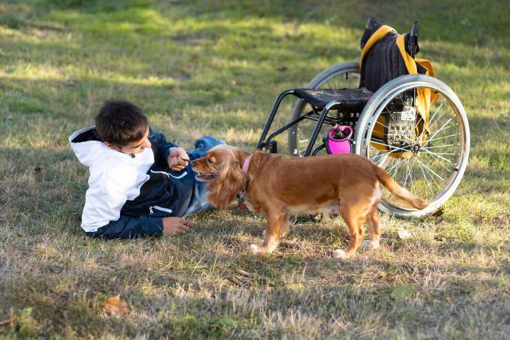 Summer Pet Therapy, l'evento per i bimbi disabili