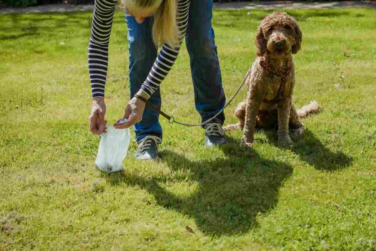 la nuova legge che riguarda i proprietari di cani