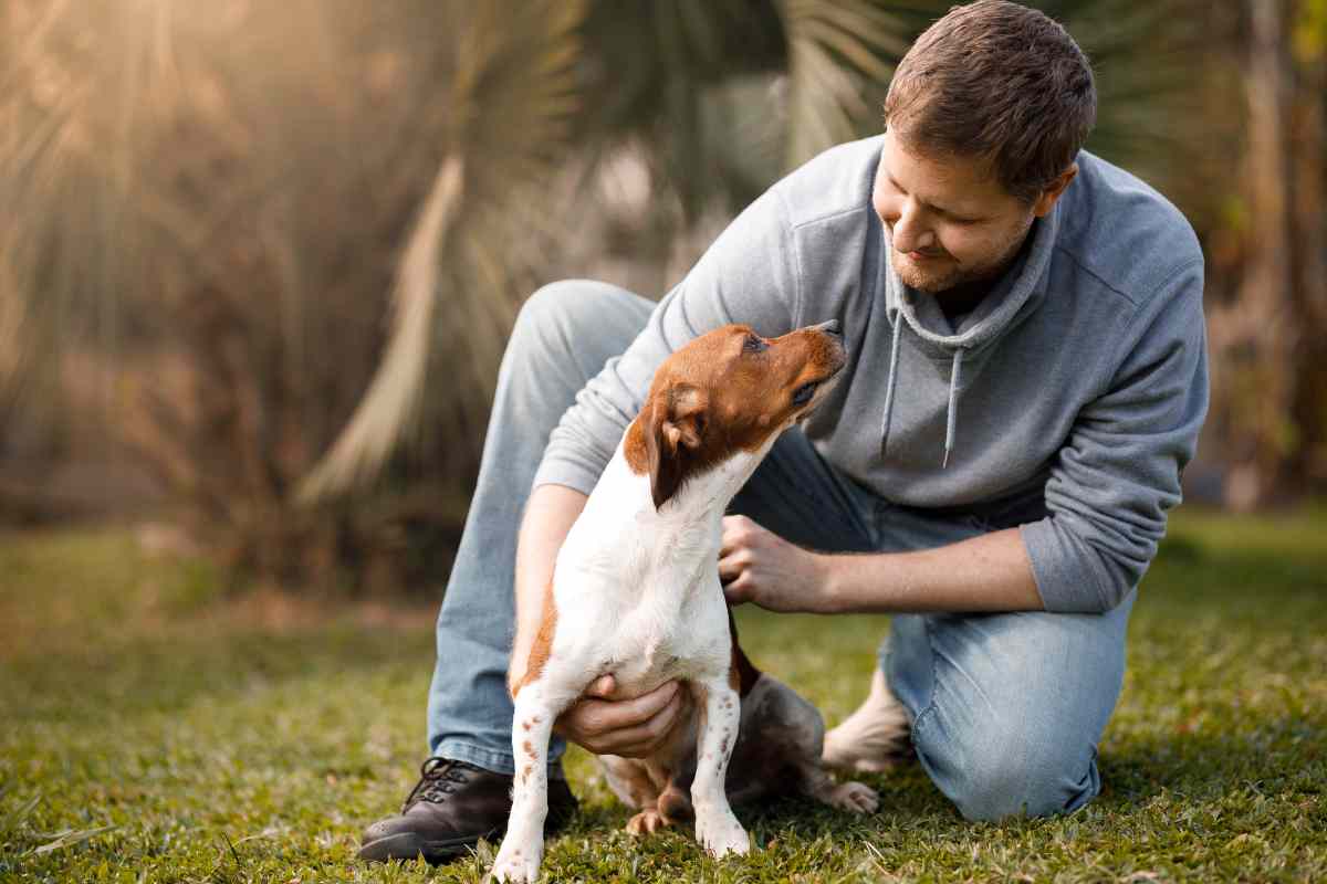 cane assomiglia al suo padrone