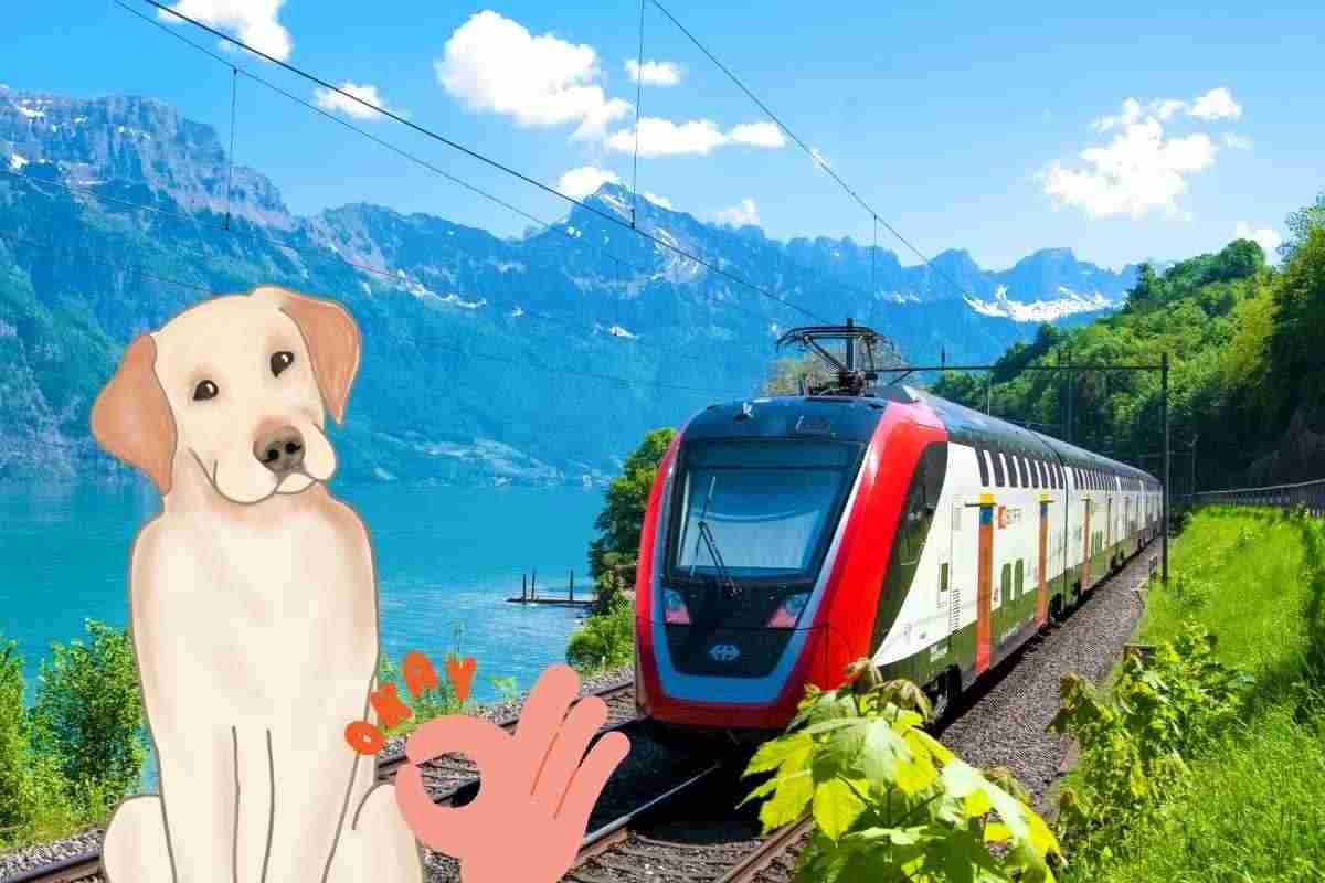 cane in treno offerta