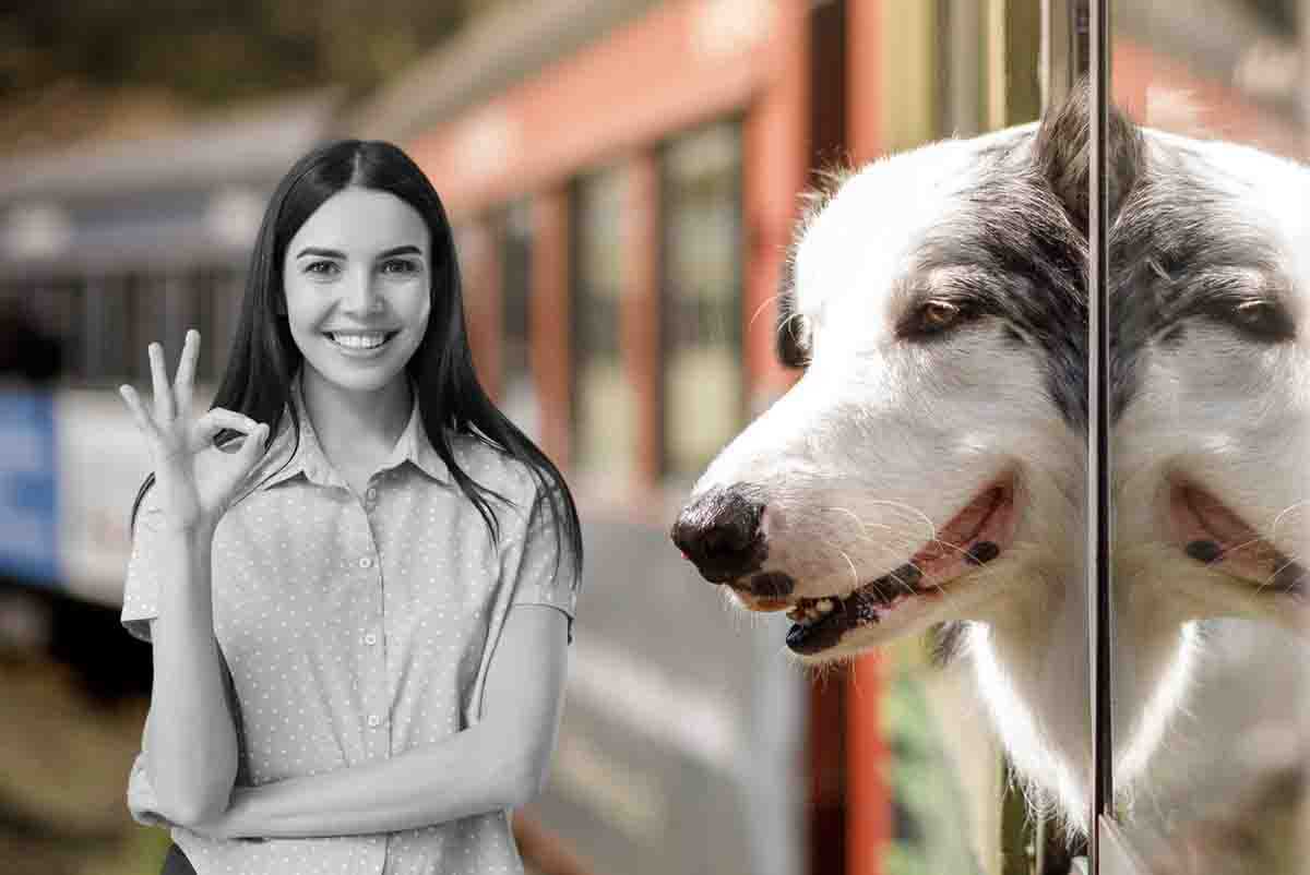 cani in treno, le novità di Trenitalia