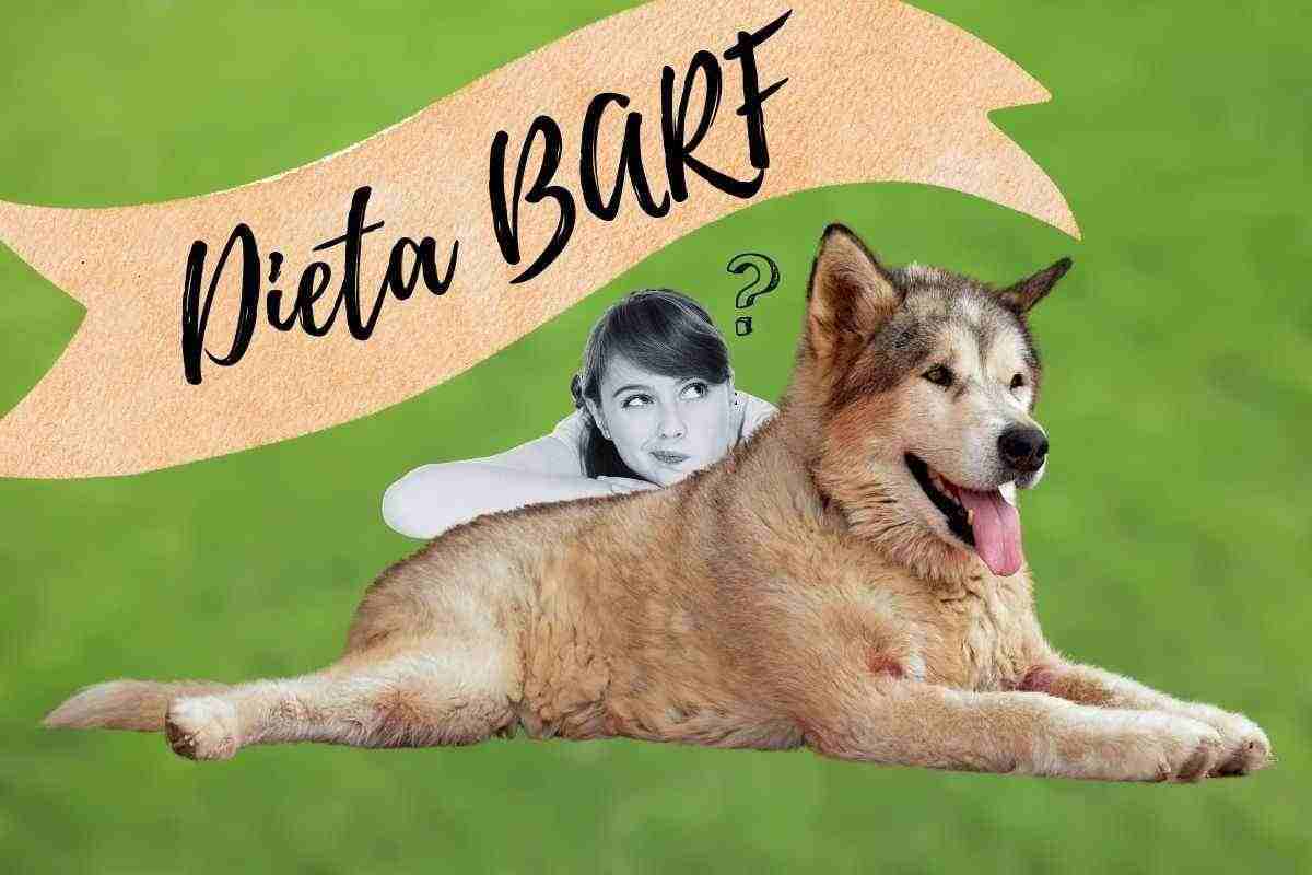 Che cos'è la dieta BARF e perché aiuterebbe il nostro cane