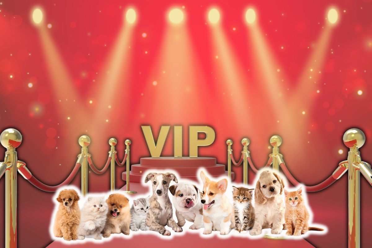 gli animali dei vip