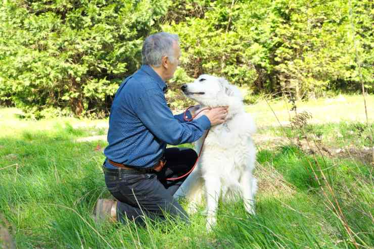 cane che assomiglia al padrone