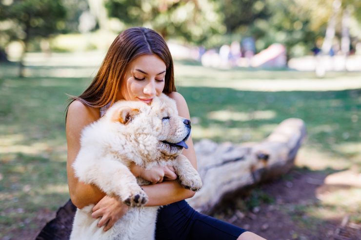 legame animali segni zodiacali