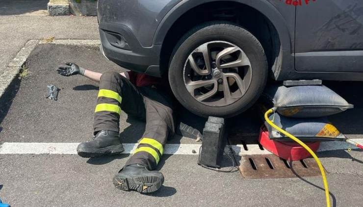 gatto salvato a Cisliano 