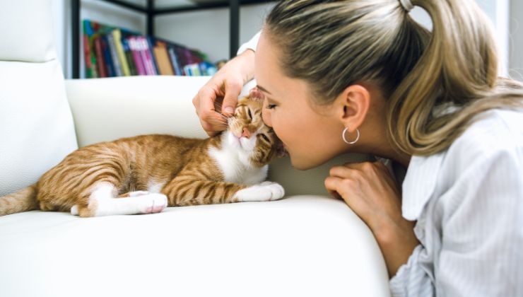 I consigli del veterinario per quando andiamo in vacanza riguardo al nostro gatto