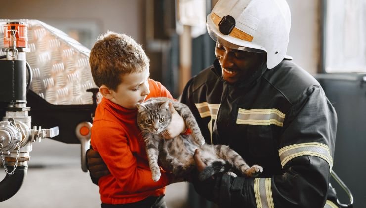 Perché il nostro gatto va sull'albero e cosa fare in quel caso