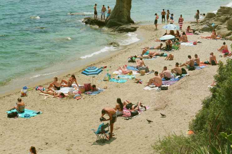 Pulci di mare cosa fare