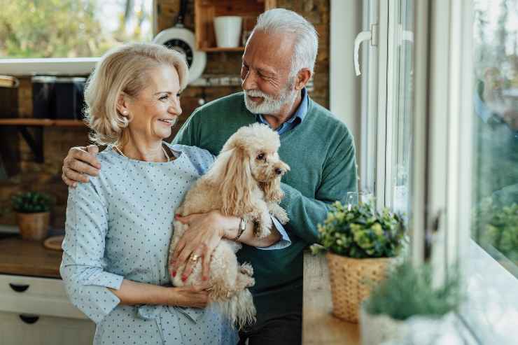 Razze di cane per anziani