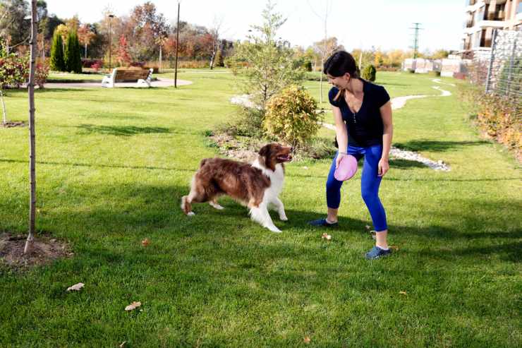 giocare con il cane nel modo giusto