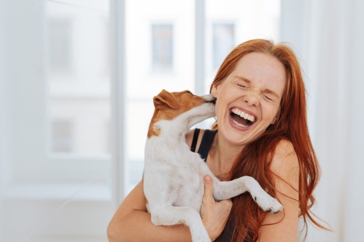 cane lecca continuamente perché