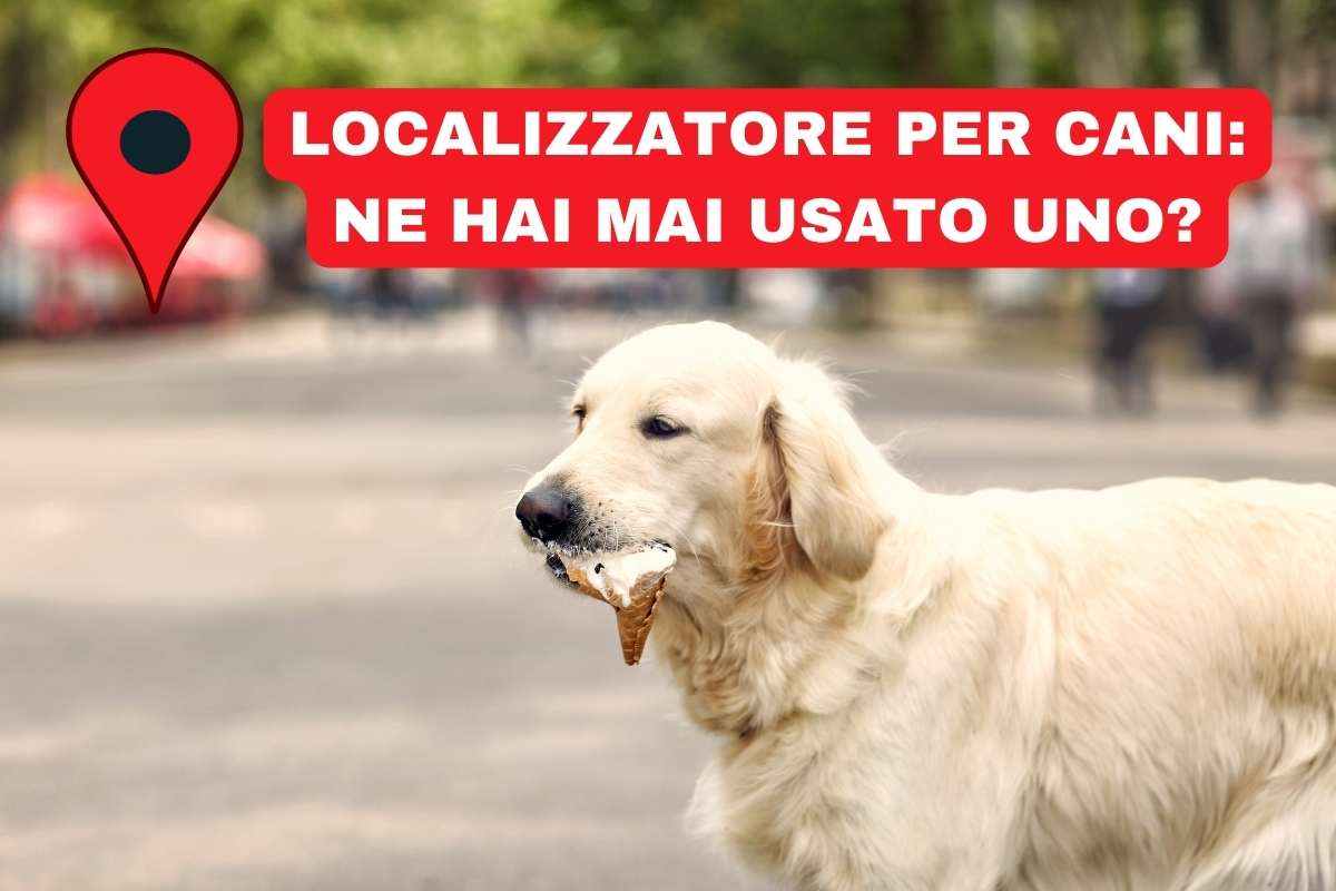 localizzatore per cani