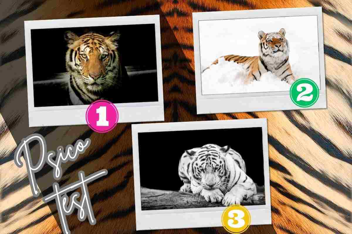 test tigre