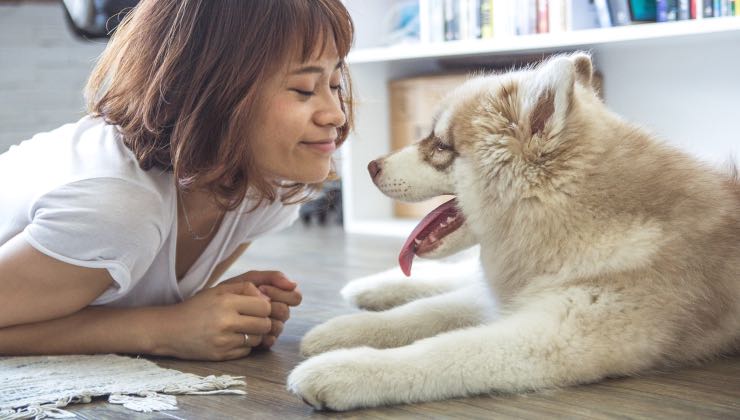 Cane dialoga con la sua umana 