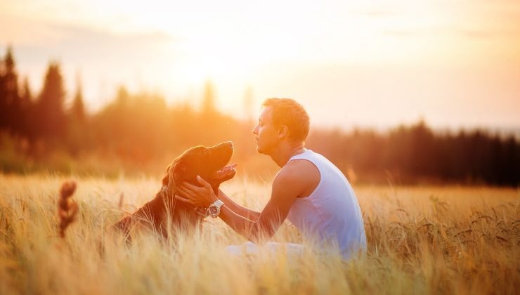 Cane e padrone si incontrano di nuovo