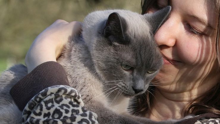 Donna abbraccia il gatto grigio