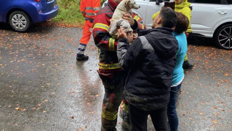 La cagnolina tra le braccia dei pompieri 