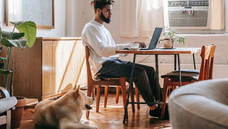 Portare il cane al lavoro