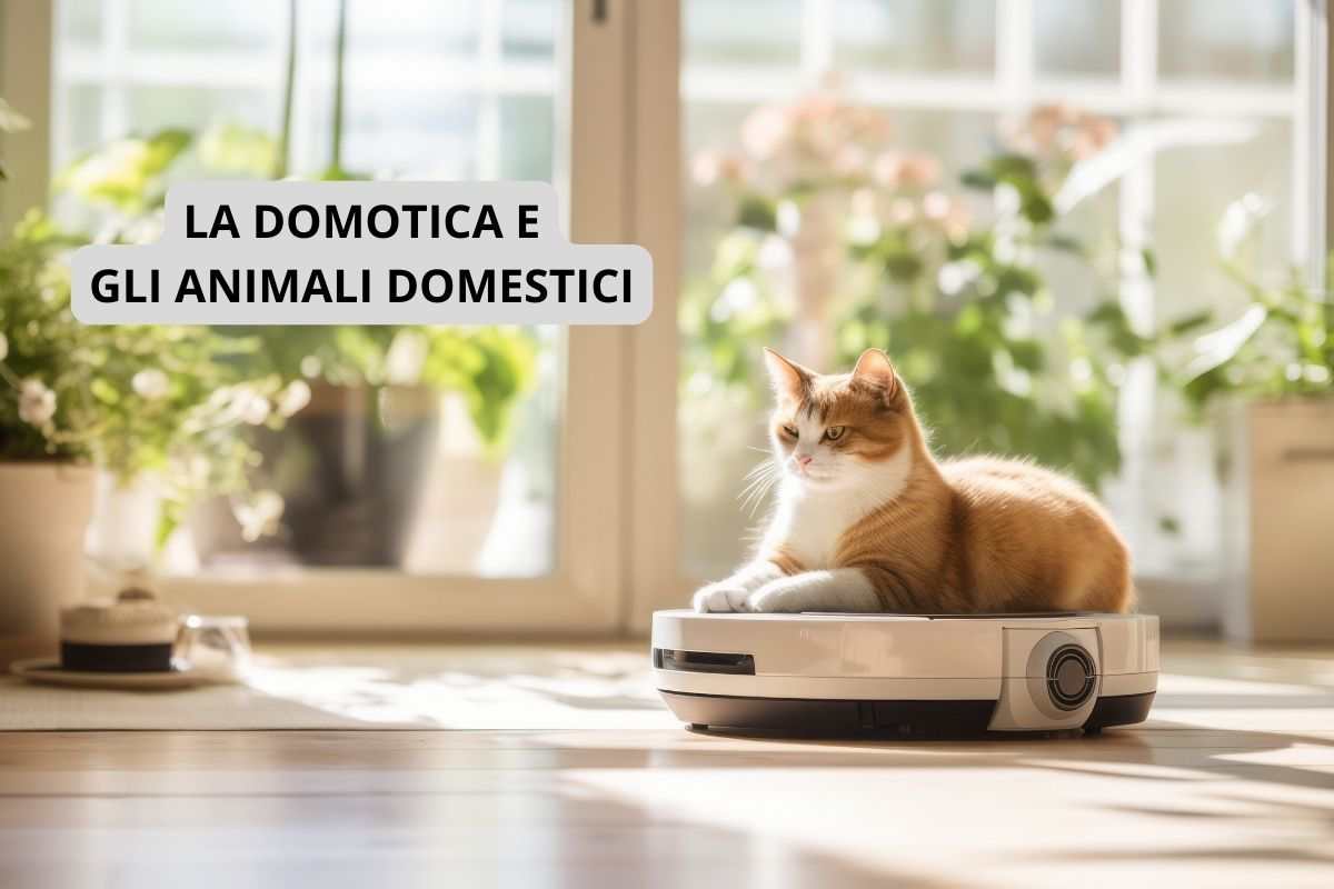 Gatto su elettrodomestico