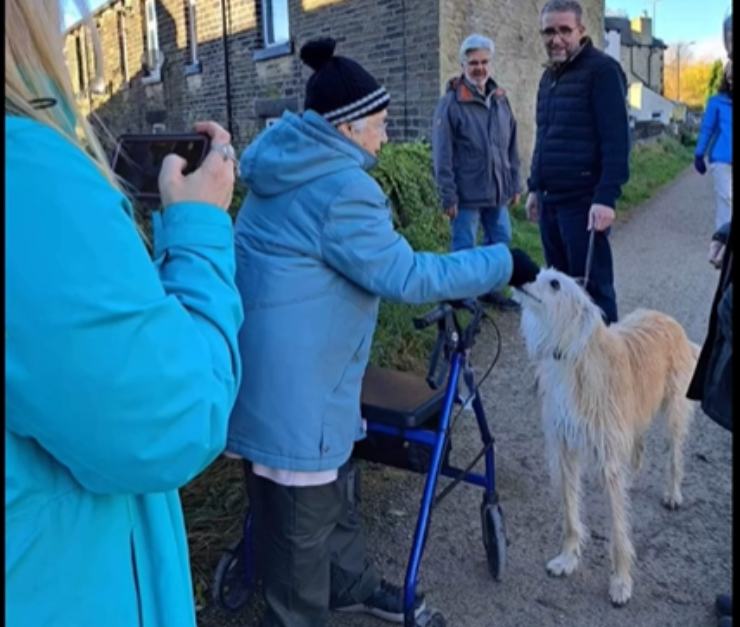 passeggiata anziana commovente cagnolini